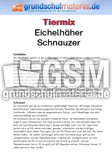 Eichelhäher - Schnauzer.pdf